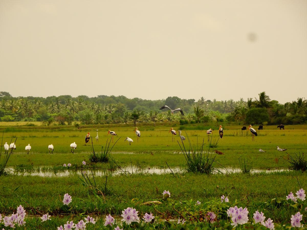 Hotel Grand Halabana Weerawila ภายนอก รูปภาพ