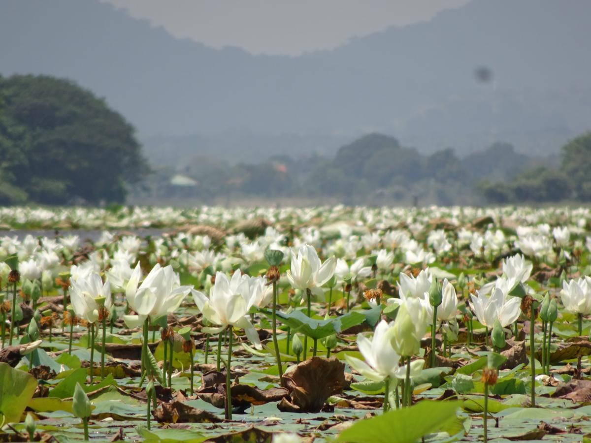 Hotel Grand Halabana Weerawila ภายนอก รูปภาพ